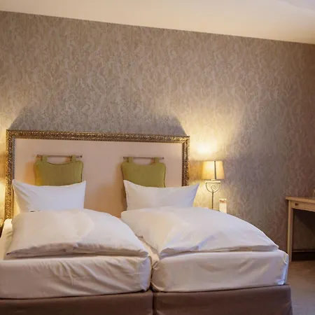 Ettrich & Elbresort Hotel Rathen